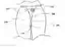 Fig. 01 - Under pant garment comfort strip