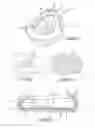 Fig. 02 - No drip bed pan