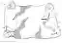 Fig. 01 - Bathing apparatus
