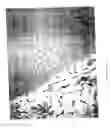 Fig. 25 - Method for producing metal fibers