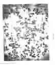 Fig. 30 - Method for producing metal fibers