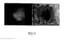 Fig. 04 - High yield method for preparing silicon nanocrystal with chemically accessible surfaces