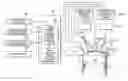 Fig. 01 - Internal combustion engine and control device for the internal combustion engine