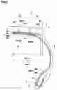 Fig. 02 - Heavy duty tire with tread portion having three longitudinal main grooves