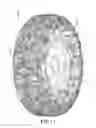 Fig. 02 - Camouflage or otherwise multicolored pattern tire and method of manufacturing