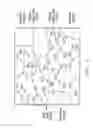 Fig. 03 - Preparation and storage of membrane and electrode assemblies