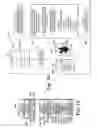 Fig. 09 - System and method for preventing comprehension of a printed document