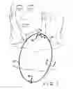 Fig. 02 - Article with battery-illuminated medallion