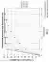 Fig. 03 - Method of forming phosphoric acid from phosphate ore