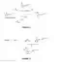 Fig. 06 - COX-2-targeted imaging agents