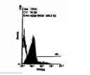 Fig. 02 - Diagnostic/therapeutic agents