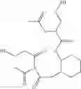 Fig. 08 - Dithiols comprising at least one amide functional group and their use in transforming the shape of the hair