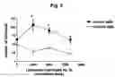 Fig. 04 - Method of pre-sensitizing cancer prior to treament with radiation and/or chemotherapy and a novel cytokine mixture