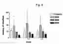 Fig. 06 - Method of pre-sensitizing cancer prior to treament with radiation and/or chemotherapy and a novel cytokine mixture