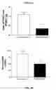 Fig. 07 - RAAV vector-based pro-opiomelanocortin compositions and methods of use