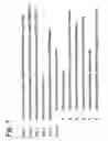 Fig. 02 - Method for producing a recombinant adeno-associated virus, suitable means therefor and use for producing a medicament