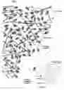 Fig. 02 - Methods and compositions for treating intervertebral disc degeneration