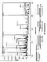Fig. 32 - Methods and compositions for treating intervertebral disc degeneration