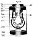 Fig. 06 - In vitro growth of tissues suitable to the formation of bone and bone forming tissue formed thereby