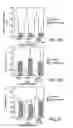 Fig. 05 - Hematopoietic stem cell gene therapy