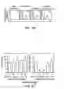 Fig. 07 - Hematopoietic stem cell gene therapy
