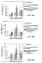 Fig. 13 - Hematopoietic stem cell gene therapy