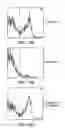 Fig. 20 - Hematopoietic stem cell gene therapy