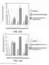 Fig. 24 - Hematopoietic stem cell gene therapy