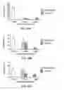 Fig. 33 - Hematopoietic stem cell gene therapy