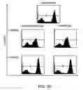Fig. 40 - Hematopoietic stem cell gene therapy