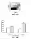Fig. 44 - Hematopoietic stem cell gene therapy