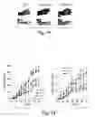 Fig. 02 - Immune regulation based on the depletion of CD69+ cells