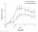 Fig. 32 - Immune regulation based on the depletion of CD69+ cells