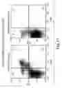 Fig. 33 - Immune regulation based on the depletion of CD69+ cells
