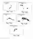 Fig. 08 - Methods for modulating hematopoiesis and vascular growth