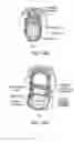 Fig. 16 - Methods for modulating hematopoiesis and vascular growth