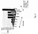 Fig. 07 - Use of B7-H3 as an immunoregulatory agent