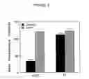 Fig. 07 - Methods of treating arthritis and diabetic retinopathy with αβ-specific antibodies