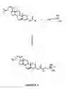Fig. 02 - Adjuvant for vaccine composition