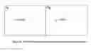 Fig. 09 - Immunostimulatory agents in botanicals