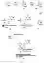 Fig. 06 - Dosage form