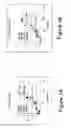 Fig. 04 - Devices, methods, and compositions to prevent restenosis