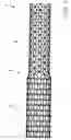 Fig. 02 - Molecular structures comprising single wall carbon nanotubes
