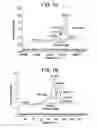 Fig. 07 - Extruded polypropylene sheets containing beta spherulites