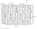 Fig. 01 - Flexible form fitting web