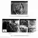 Fig. 02 - Oxide ceramic fiber composite materials and use thereof