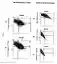 Fig. 08 - AAV2 Rep protein fusions