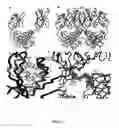 Fig. 02 - Domain-exchanged binding molecules, methods of use and methods of production