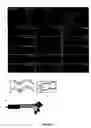 Fig. 09 - Method of screening for agents inhibiting chloride intracellular channels