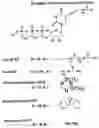 Fig. 01 - Modified nucleotides and methods of labeling nucleic acids